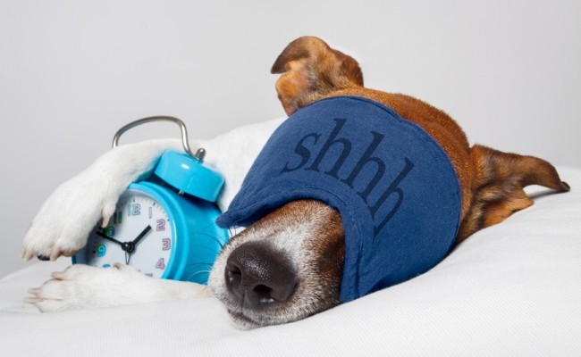 Qué haces con tu móvil Android antes de acostarte