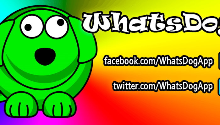 whatsdog