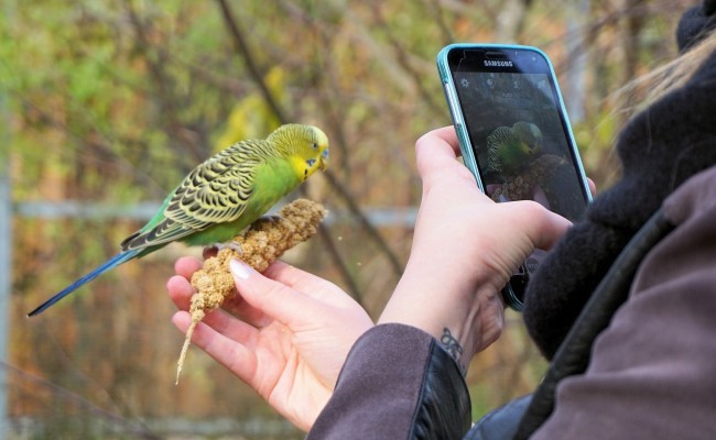 Como quitar el sonido de la cámara en Android, si tu teléfono no te lo permite